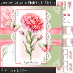 January Carnation Birthday