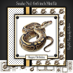 Snake No1 6x6 inch Mini Kit