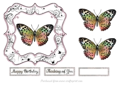 Soft butterfly