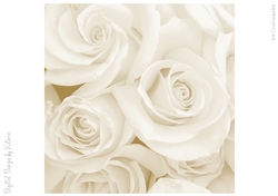 Soft Gold Large Rose 8x8 Paper