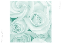 Soft Green Large Rose 8x8 Paper