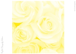 Soft Yellow Large Rose 8x8 Paper