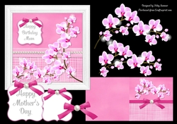 Orchid