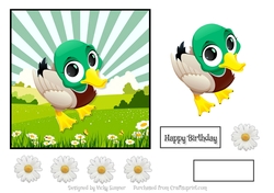 Duck Big Eyes