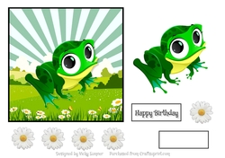 Frog Big Eyes