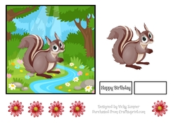 Squirrel Big Eyes