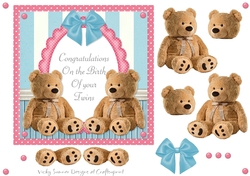 Twin Baby Boy and Girl Teddy Bear