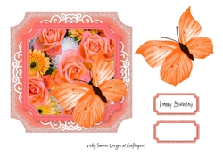 Peach and Orange Butterfly