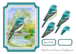Bird 1