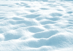 Blue Winter Scene 8