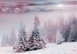 Pink and Blue Winter Scene 14