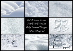 Snow Scene
