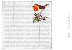 Christmas Script and Robin
