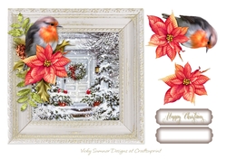 Robin Winter Scene 5