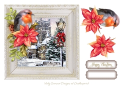 Robin Winter Scene 8
