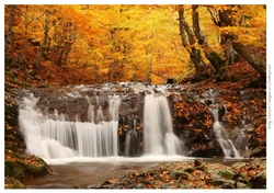 Autumn Fall Paint Effect 7