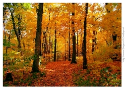 Autumn Fall Paint Effect 11