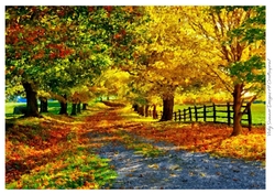 Autumn Fall Paint Effect 21