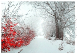 Autumn Fall Winter Paint Effect 32