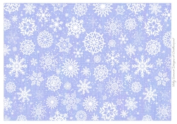 Snow Fall 17