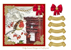 Robin Christmas