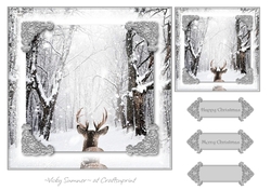 Serene Winter 1