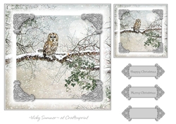 Serene Winter 9