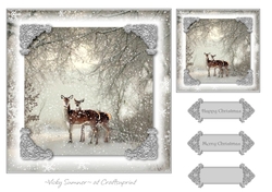 Serene Winter 10