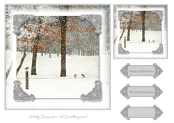 Serene Winter 11