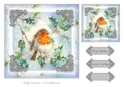 Robin Christmas 1