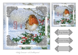 Robin Christmas 2