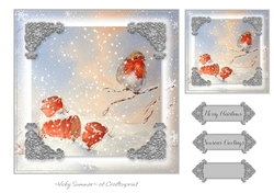 Robin Christmas 3