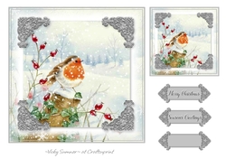 Robin Christmas 4