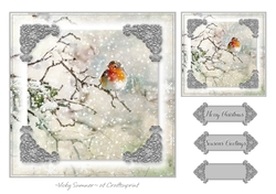 Robin Christmas 7
