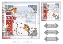 Robin Christmas 8