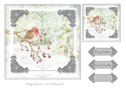 Robin Christmas 9
