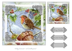 Robin Christmas 10