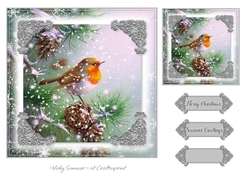 Robin Christmas 11
