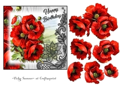 Poppy 2