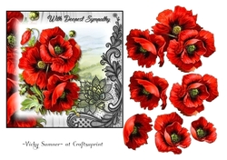 Poppy 4