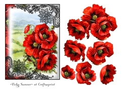 Poppy 5