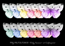Sorbet Butterfly 2