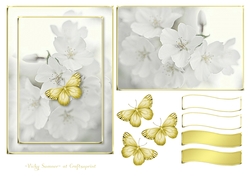 Serene White and Gold 1