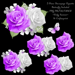 Rose Vignette 13