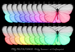 Rainbow Butterfly