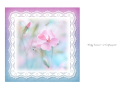 Flowers and Lace 2