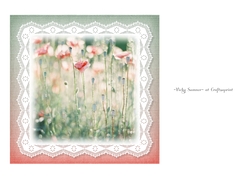 Flowers and Lace 5
