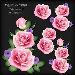 Rose Cluster 1