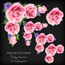 Rose Corner Cluster 1