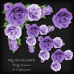 Rose Corner Cluster 5